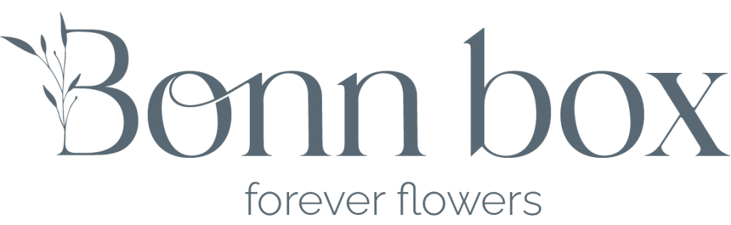 logo-Bonnbox