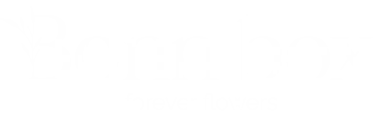 logo-bonnbox-blanco