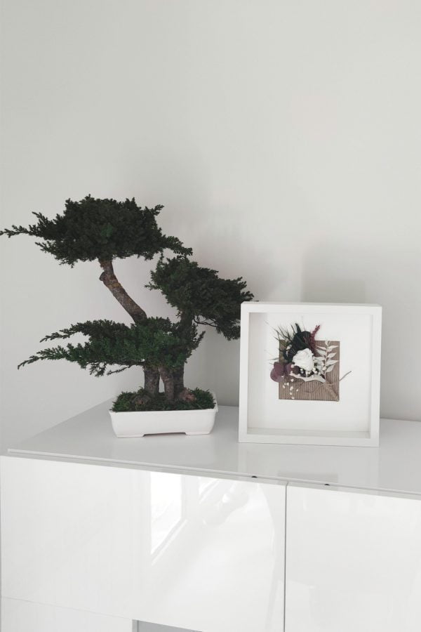cuadro_ramo_ y bonsai